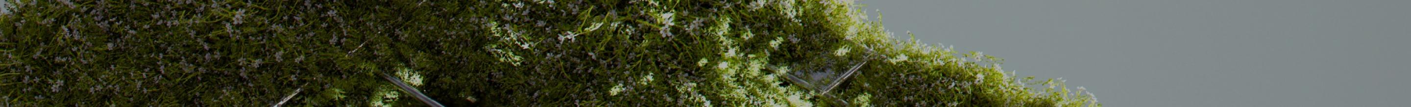 Banner ClimateTech