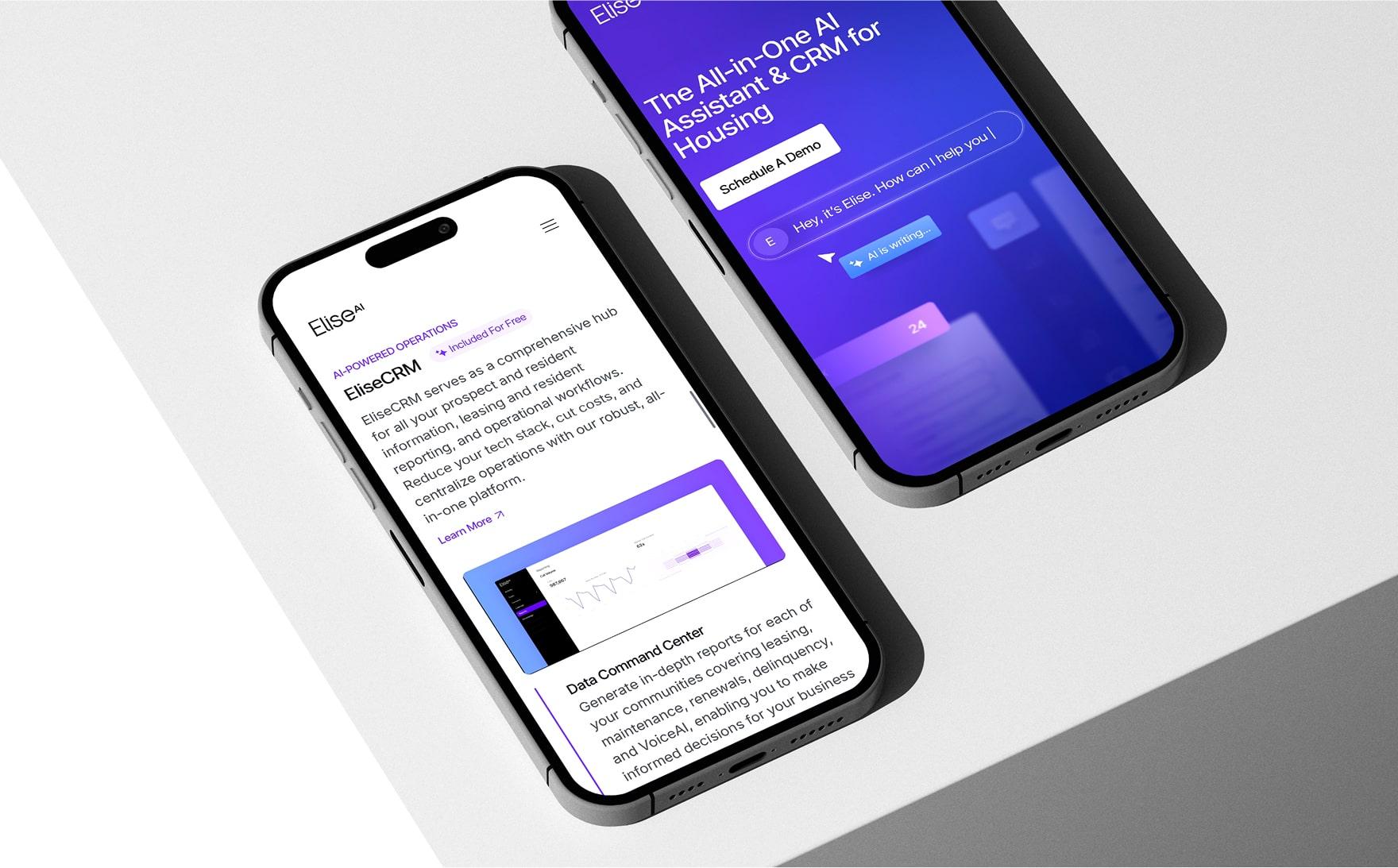 Case_Money.net_01