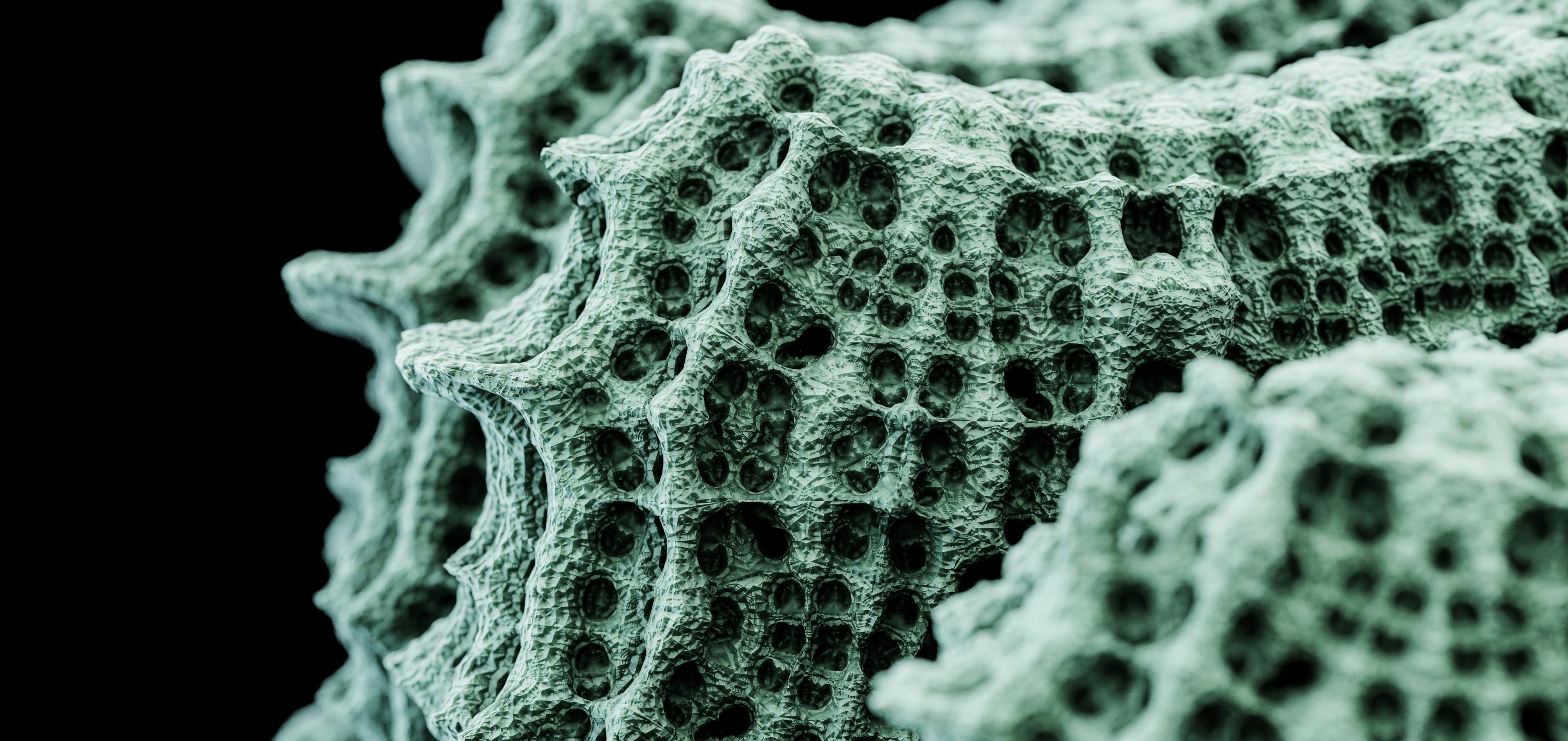 Computer vision in healthcare