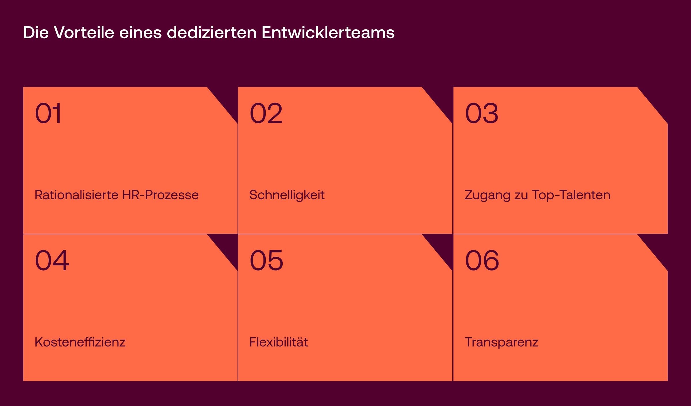 Vorteile des dedizierten Entwicklerteams für Startups