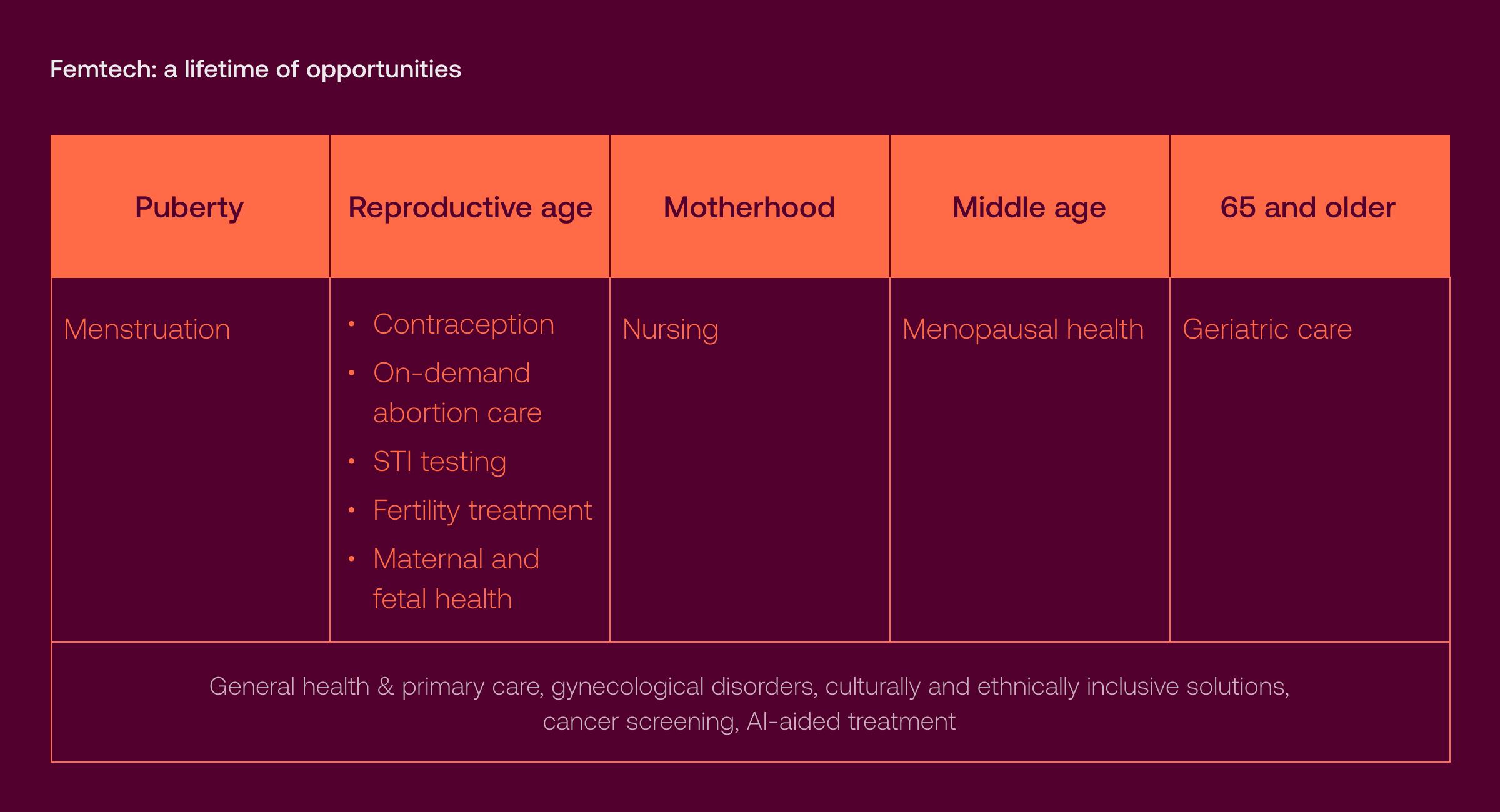 FemTech Market Overview
