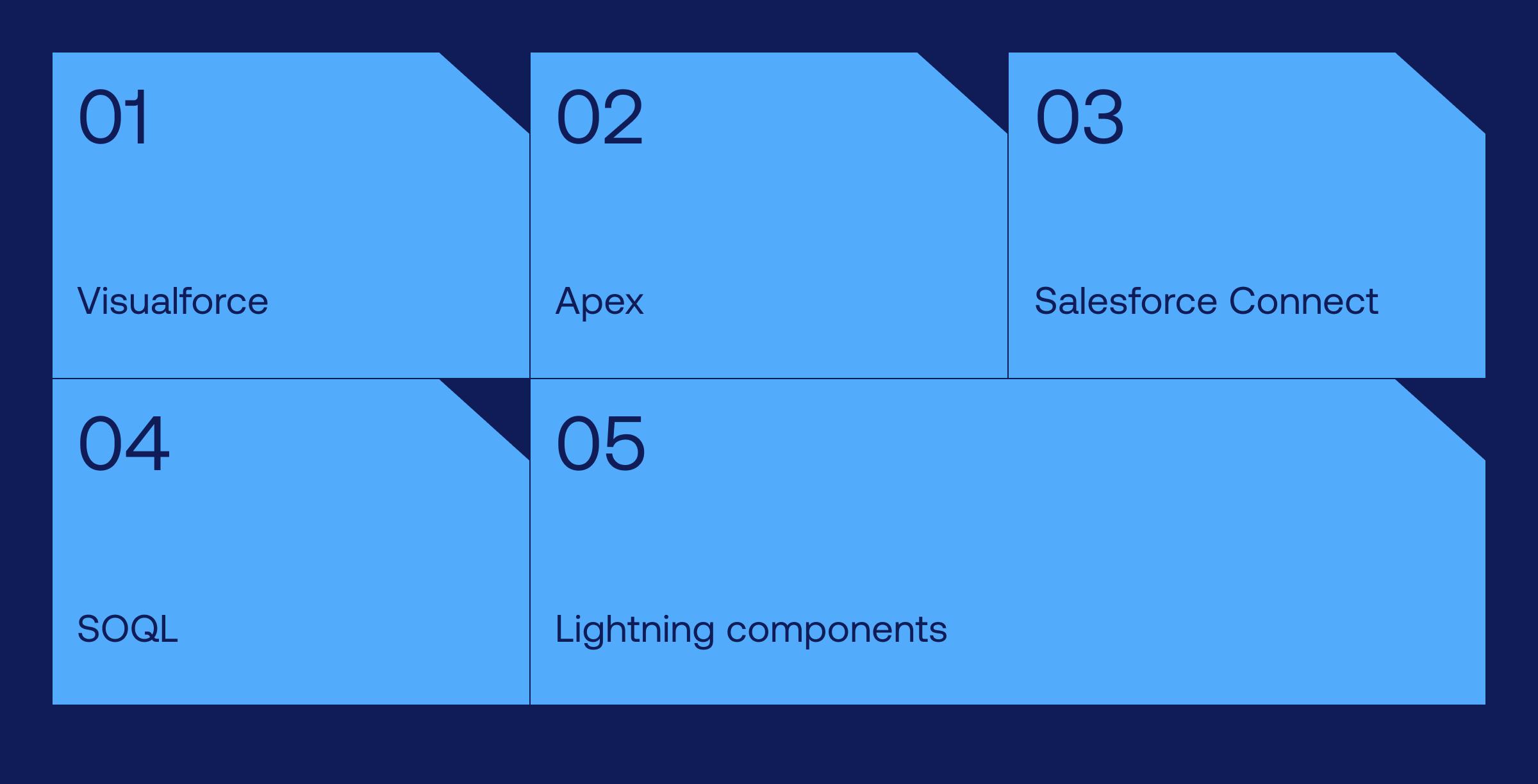 Salesforce customization_ Accessory or necessary__01