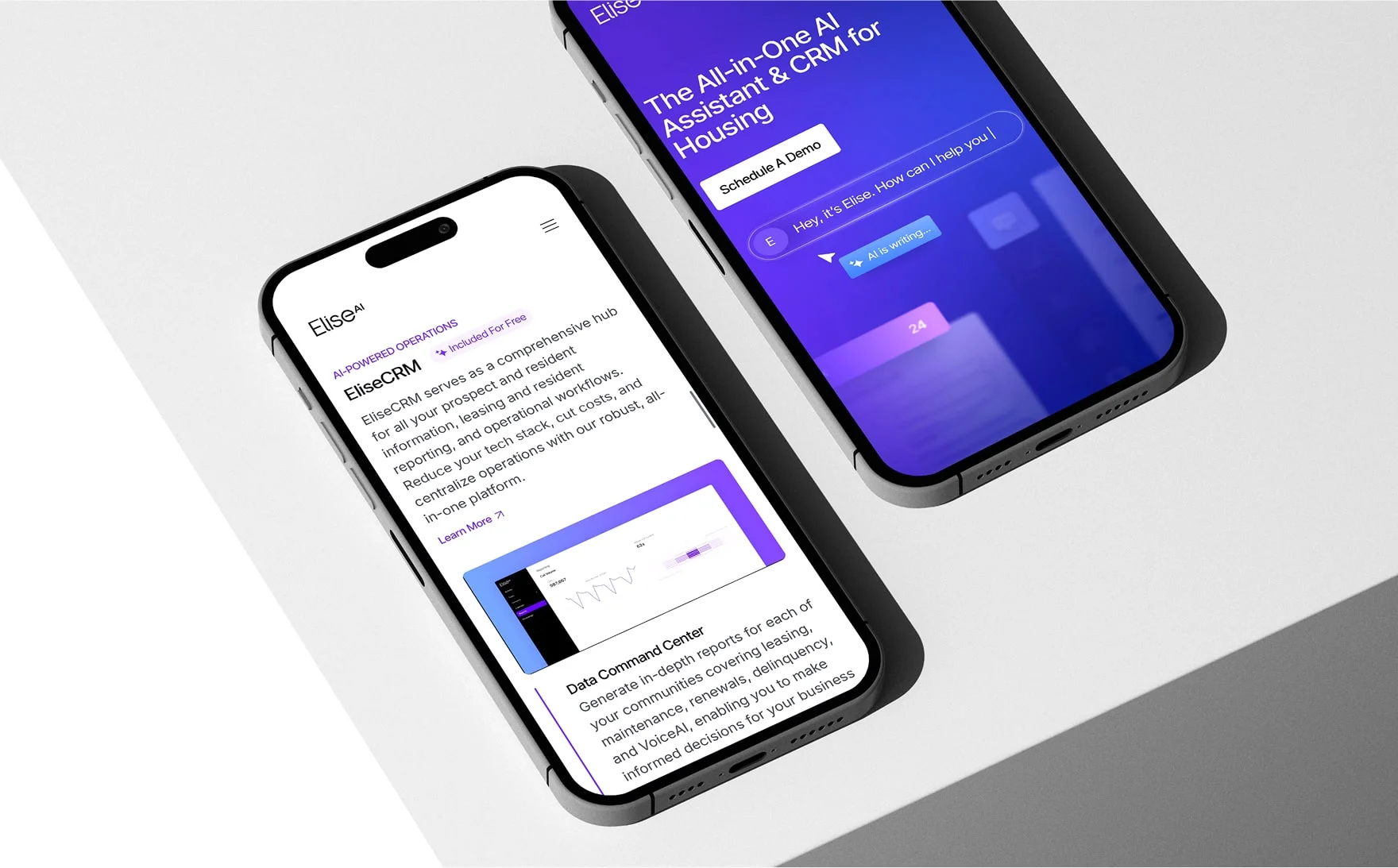 Case_Money.net_01