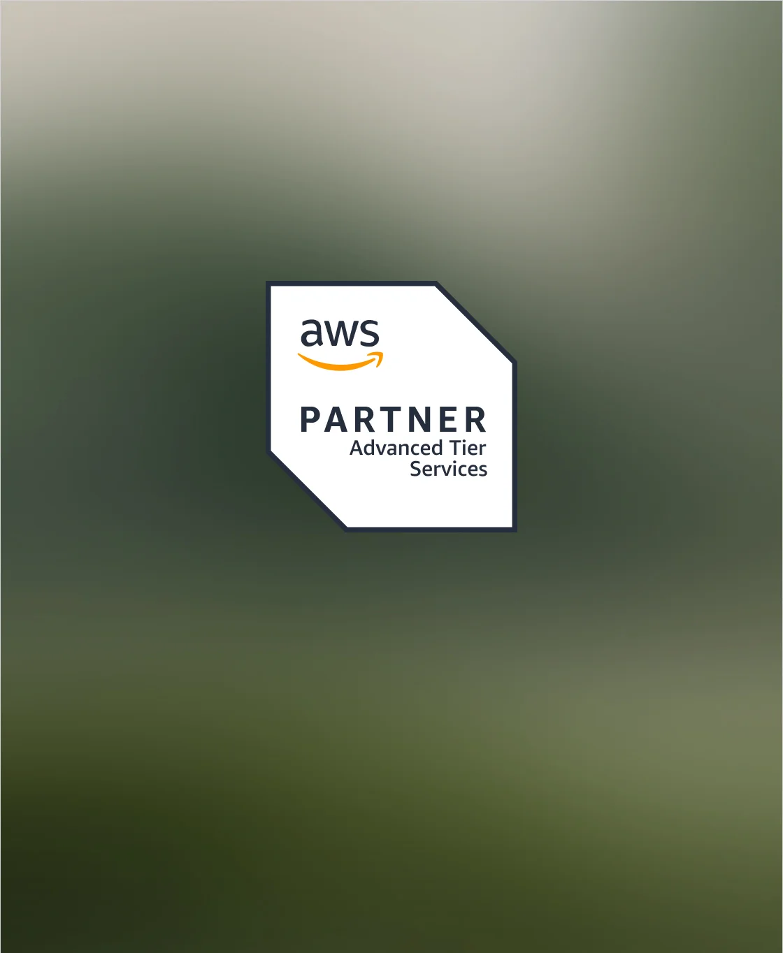 aws-cloud-consulting-services-right-strategic-decisions-for-maximum-ROI_02_text