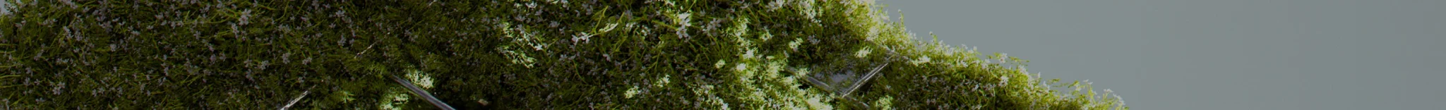 banner_greentech_de-2 Banner ClimateTech